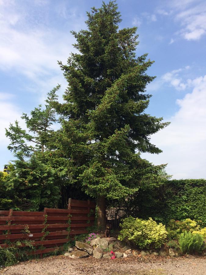 Firtree Bed And Breakfast At Galvelbeg House Crieff Exteriér fotografie